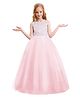 Tilism Net Sleeveless Floral Mesh Detailed Maxi Gown - Baby Pink