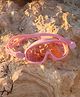SUNNYLiFE Kids Swim Mask Cotton Candy Cherry