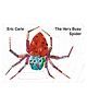 Very Busy Spider Board Book (Lift-the-Flap) - English