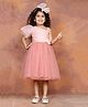 Toy Balloon Kids Net One Shoulder Half Puffed Sleeves Floral Applique Detailed Swiss Dot Designed Dress - Rose Pink