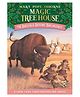 MTH 18: Buffalo Before Breakfast Story Book by Mary Pope Osborne - English