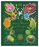 The Secret World of Plants Book by Ben Hoare - English