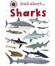 Mad About Sharks - English