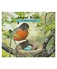 About Birds Story Book By Cathryn Sill - English