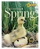 Everything Spring Story Book By Jill Esbaums -  English