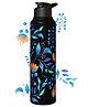Speedex Simplex Stainless Steel 1 Litre Water Bottle For Men Woman And Kids (1000 ml, Printed)