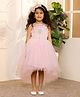 Toy Balloon Kids Net Sleeveless Floral Applique Detailed & Sequins Embellished Layered High Low Dress - Dusty Rose
