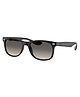 Ray-Ban Solid Round Shaped Sunglasses - Black