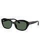 Ray-Ban Solid UV Protected Sunglasses - Black & Green