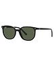 Ray-Ban Solid UV Protected Sunglasses - Black