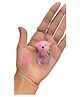Favon Teddy Bear Shaped Natural Pink Color Lip Gloss with Key Chain