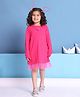 BaawRi Cotton Lycra Knit Full Sleeves Floral Applique Detailed Dress - Pink