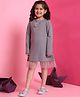 BaawRi Cotton Lycra Knit Full Sleeves Floral Applique Detailed Dress - Grey