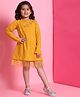 BaawRi Cotton Lycra Knit Full Sleeves Floral Applique Detailed Dress - Yellow