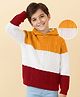 Pine Kids Knit Full Sleeves Hooded Sweater With Cable Knit Design - Multicolour