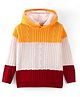 Pine Kids Knit Full Sleeves Hooded Sweater With Cable Knit Design - Multicolour