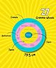 EDUSTAR 27 Grammar wheels - Your Guide to Grammatical Greatness - Multicolor