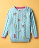 Yellow Apple Knit Full Sleeves Floral Embroidered Pullover Sweater With Cable Knit Design - Sky Blue