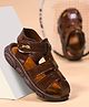 KATS Tiger Applique Detailed Velcro Closure Gladiator Sandals - Brown