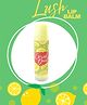 Coral Dust Clear Lipbalm with Almond Oil & Shea Butter 5 g - Lemon