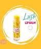 Coral Dust Clear Lipbalm with Almond Oil & Shea Butter 5 g - Mango