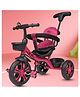 Little Olive Kids Premium Tricycle - Maroon