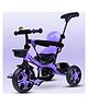 Little Olive Kids Premium Tricycle with Spacious Back Storage & Parent Handle - Purple