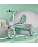 StarAndDaisy Tricycle for Kids 2-5 Years with Seat Belt, Bell, 360° Rotating Handlebar & Dual Storage Basket, Children Bike Toy with Pedals, Light Green