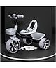 StarAndDaisy Tricycle for Kids 2-5 Years with Seat Belt, Bell, 360° Rotating Handlebar & Dual Storage Basket, Children Bike Toy with Pedals, Grey