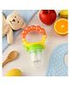AEREX BPA Free Silicone Food Nibbler with Mesh Nipple for Fruit and Veggies with Rattle Handle for Baby (Orange)