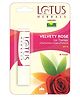 Lotus Herbals Lip Therapy Tinted Lip Balm - Velvety Rose | Spf 15 | Moisturises, Heals & Protects Lips | 4g