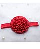 BABY Charm Floral Applique Detailed Headband - Red