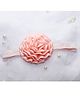 BABY Charm Floral Applique Detailed Headband - Peach