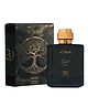 VOKKA Oud Perfume Long Lasting Luxury Fragrance Eau De Parfum for Women - 100 ml