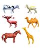 Kids Mandi Animal Educational Toy - Interactive Learning, Fun for Kids, Perfect Gift for Birthdays, Rakshabandhan, STEM Development, Safe & Durable