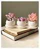 Mason Home Artificial Pink Trio Succulents