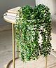 Mason Home Artificial Climing Fig Succulents - (Set Of 2)