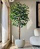 Mason Home Artificial Lush Ficus Plant - 5.5 Feet