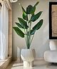 Mason Home Artificial Funa Philodendron Plant - 6 Feet