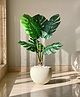 Mason Home Artificial Paradise Monstera Plant - 3 Feet