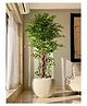 Mason Home Artificial Ficus Majora Plant -  6 Feet