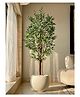 Mason Home Artificial Tropical Olive Plant - 6 Feet