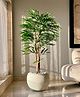 Mason Home Artificial Silver Willow Plant -  5 Feet