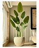 Mason Home Artificial Cavendish Traveller Plant - 7 Feet