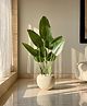 Mason Home Artificial Cavendish Traveller Plant - 4 Feet