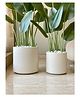 Mason Home Oasis Planter - Ivory (Medium)