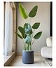 Mason Home Oasis Planters - Dark Grey (Large)