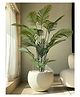Mason Home Artificial Lush Green Areca Palm - 6 ft
