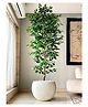Mason Home Artificial Weeping Ficus Tree - 7 Feet