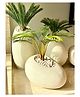 Mason Home Acropolis Planter - Ivory